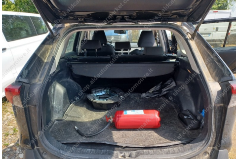 2019 Toyota RAV 4, Benzinas / Elektra